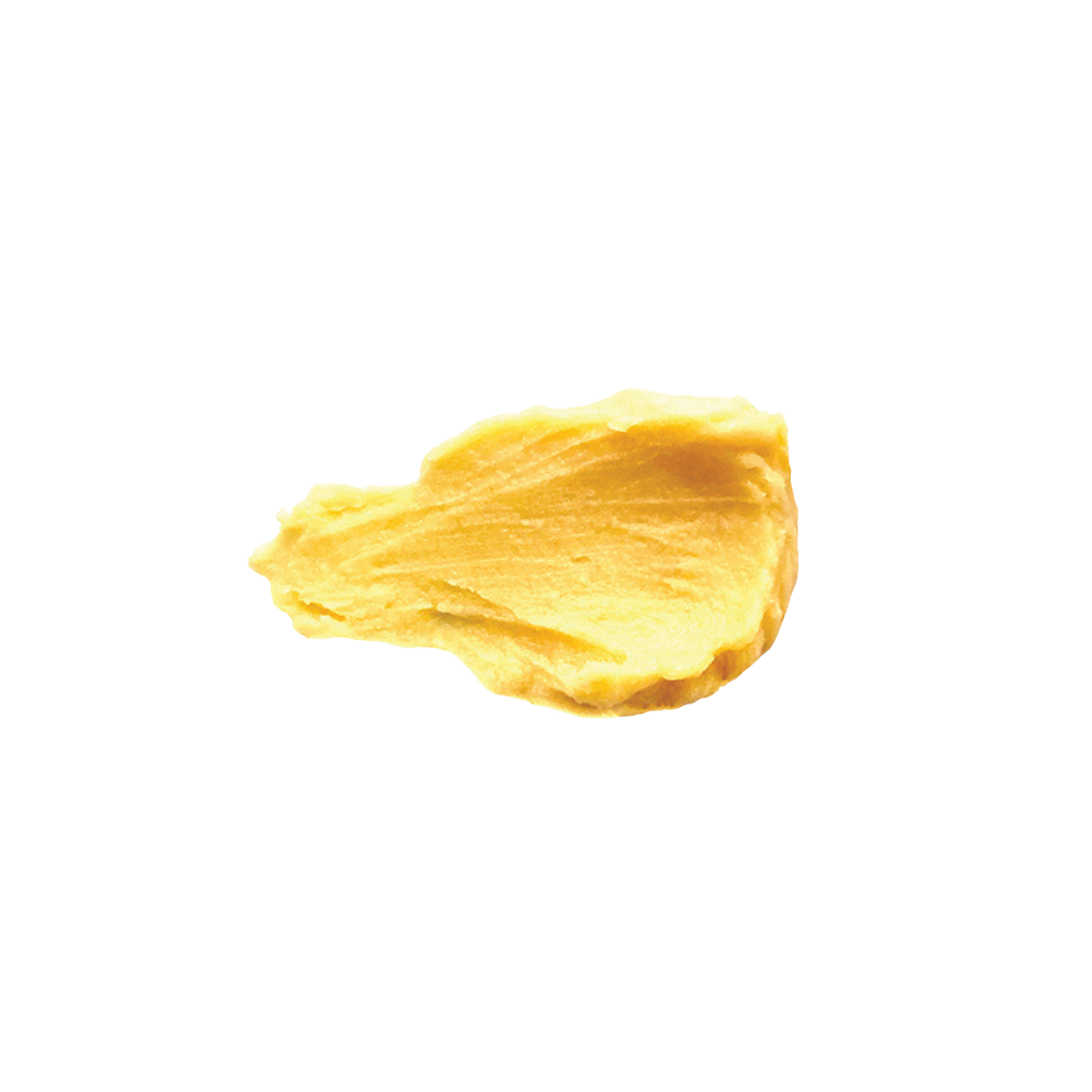 Recovery CBD Healing Balm  |  Sea Buckthorn + Arnica