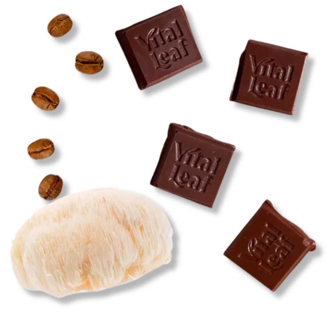 Mini Mocha Magic Dark Chocolate Bar: Brain Power + Collagen Boost (14 mini bars)